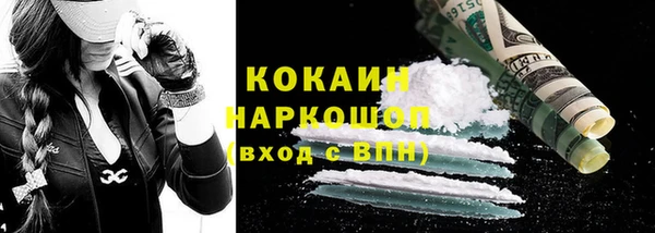 мдпв Инта