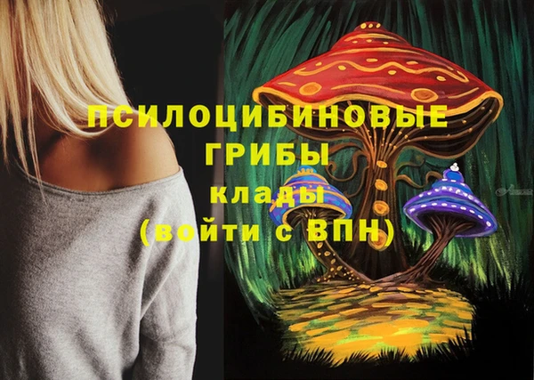 мет Верхний Тагил